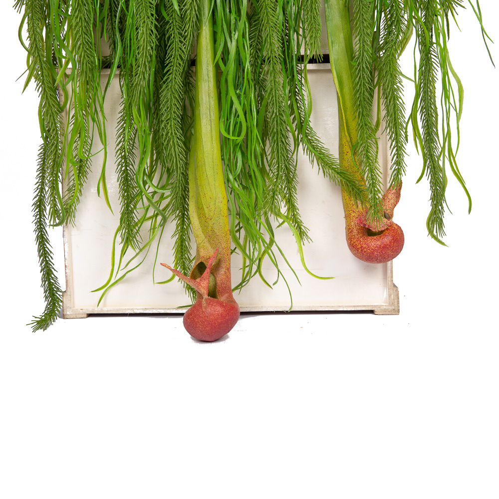 ВМ11-2(з.) Вставка модуль со стрелицией и непентисом h30см (47*10*h3)_3