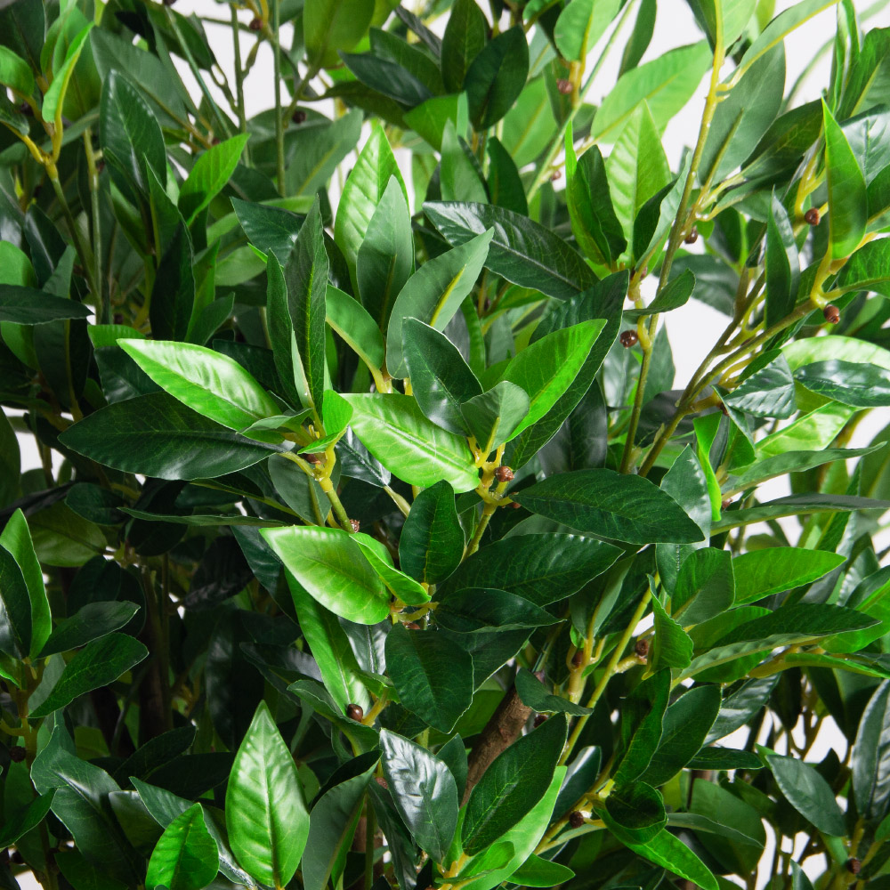 145/РН/188(з)(F) Лавр искусственный h145см d59х69см, латекс_4