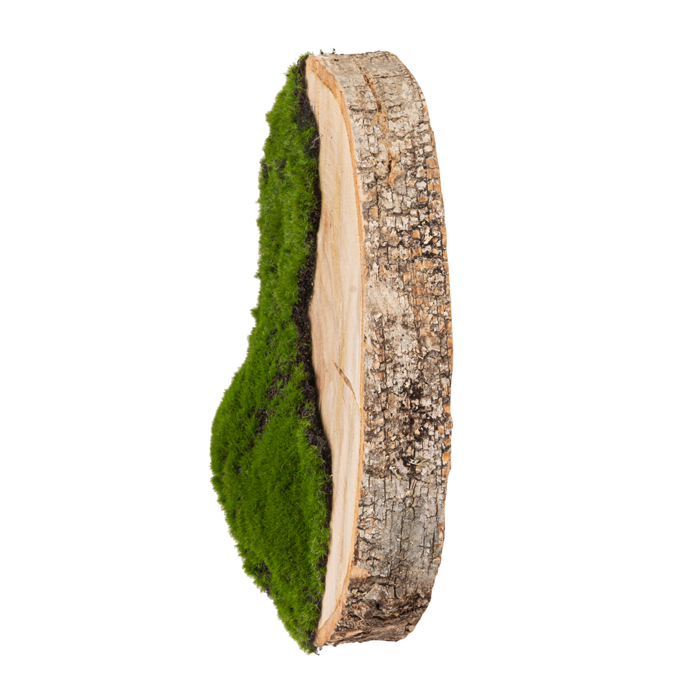 БК140/14 Композиция на березовом спиле d30-40см_2