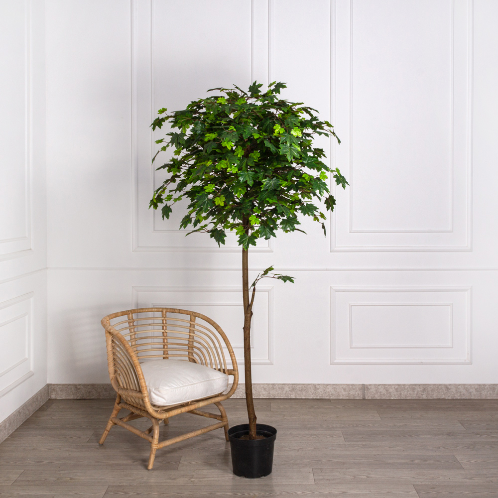 200/Р/29 Клён искусственный крупный лист h200см_5