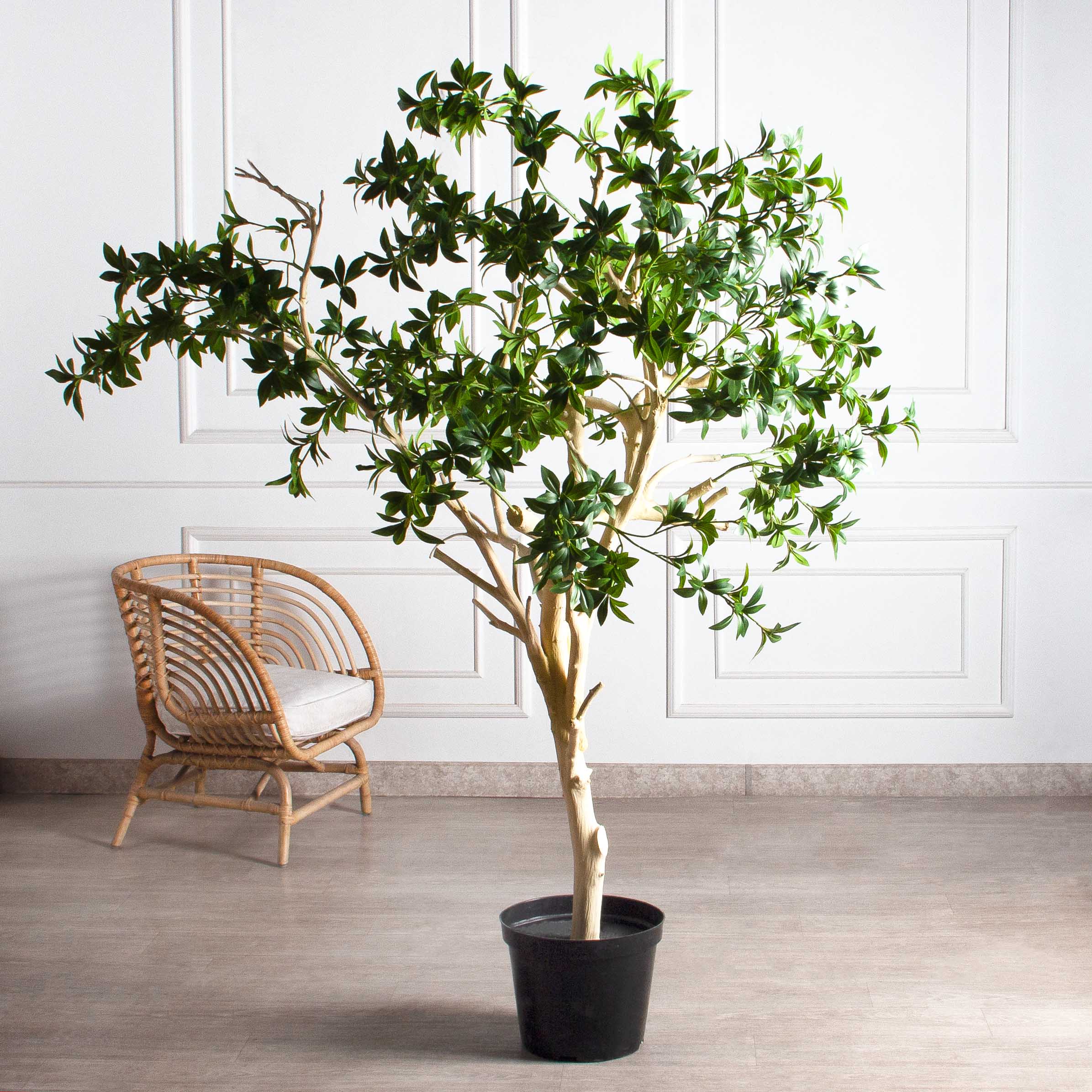 200/ДА/526(з)(F) Бересклет искусственный h200 d160см в кашпо d33 h24,5см, латекс_3