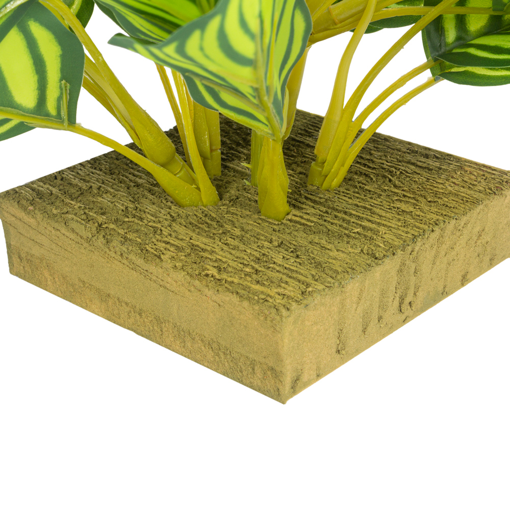 ВМ21/1(з.) Вставка с калатеей h32см, 12*12см (латекс)_5