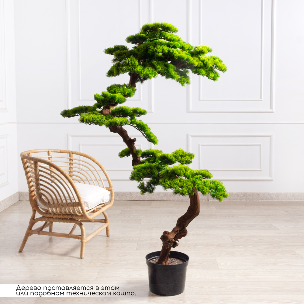 БС160/ОСИ/3000(з)(F) Бонсай искусственный Сосна h160см _1