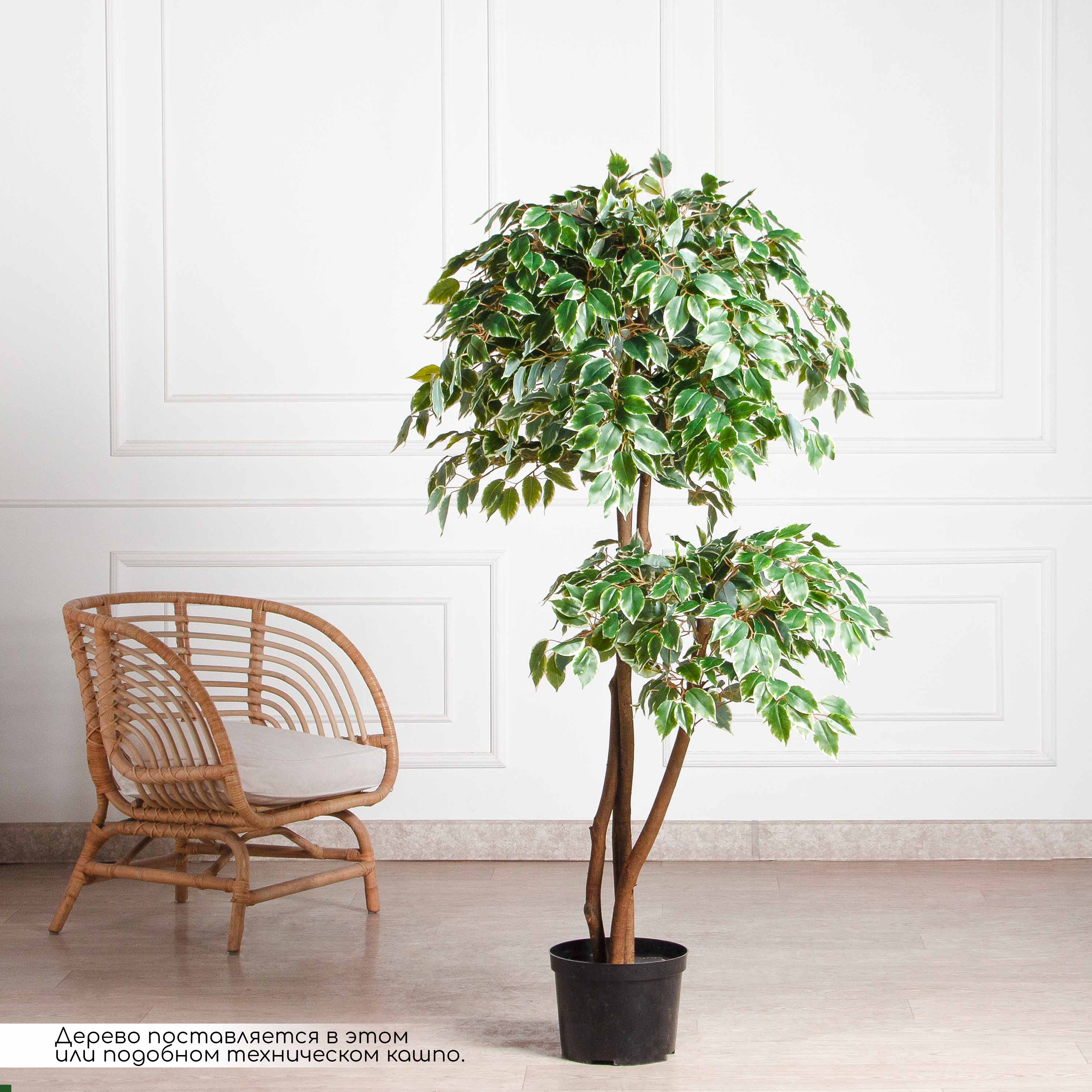 160/2К/17(Пр)(F) Фикус Бенджамина искусственный h160см (латекс)_2