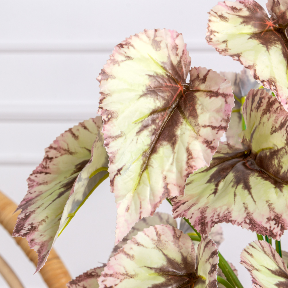 7143/0901-01/2 Бегония искусственная куст h35см, бело-бордов._1