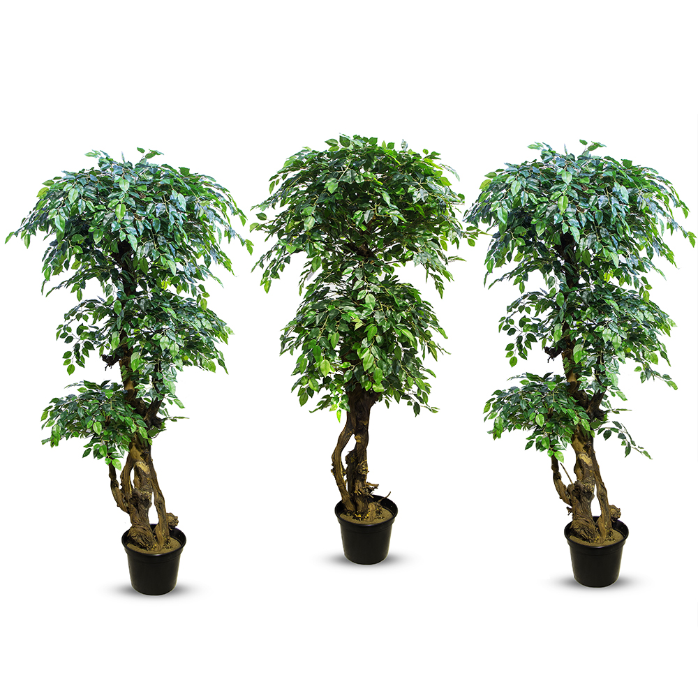 180/Я3/ОС/34-2(з) Фикус h-180см (латекс)_3