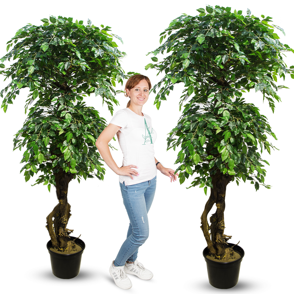 180/Я3/ОС/34-2(з) Фикус h-180см (латекс)_4