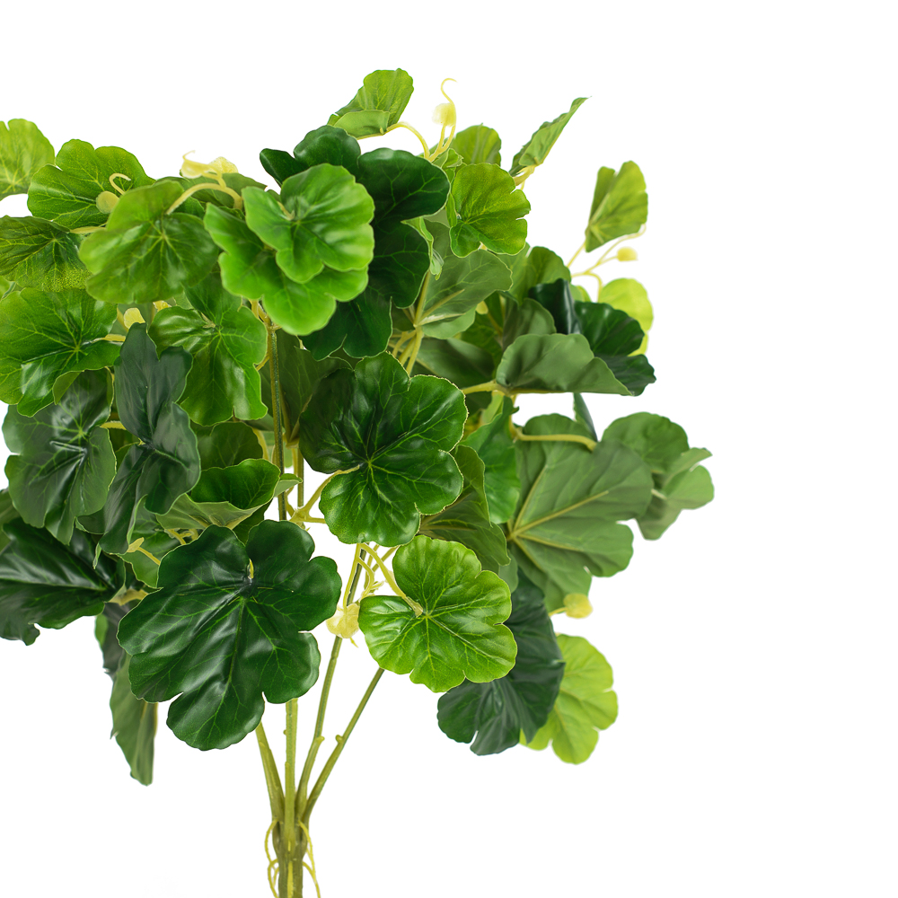 7143/0371-2 Пеларгония куст зелен (латекс)*7ч_2