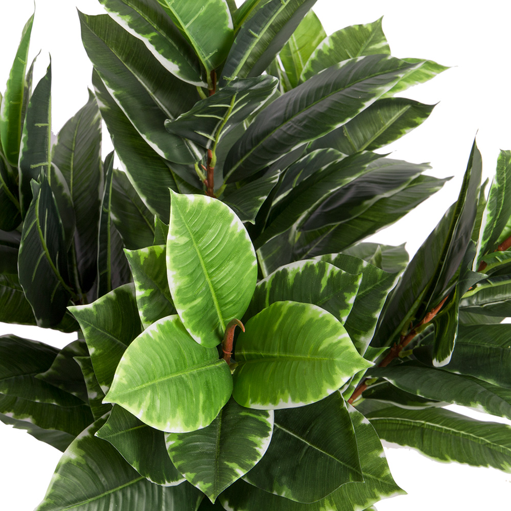 60-К-443(А)(з.)_1