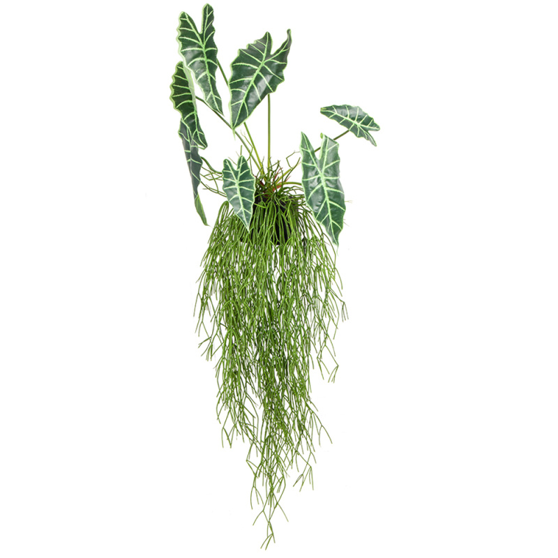 БК 17 Композиция с Алоказией на блоке 15*h10_21