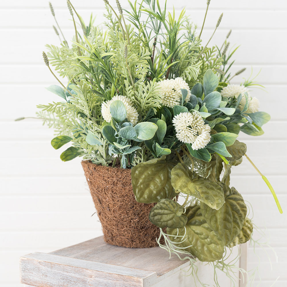 К3082(з) Зелень с Агерат. бел. в круглом кок. боксе (d-15,h-10)_2