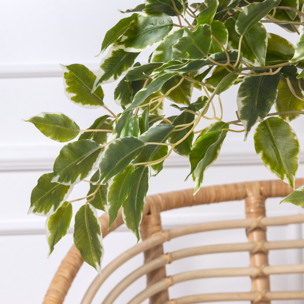 190/Я4/РН/17М Фикус Бенджамина искусственный h190см (латекс)_5