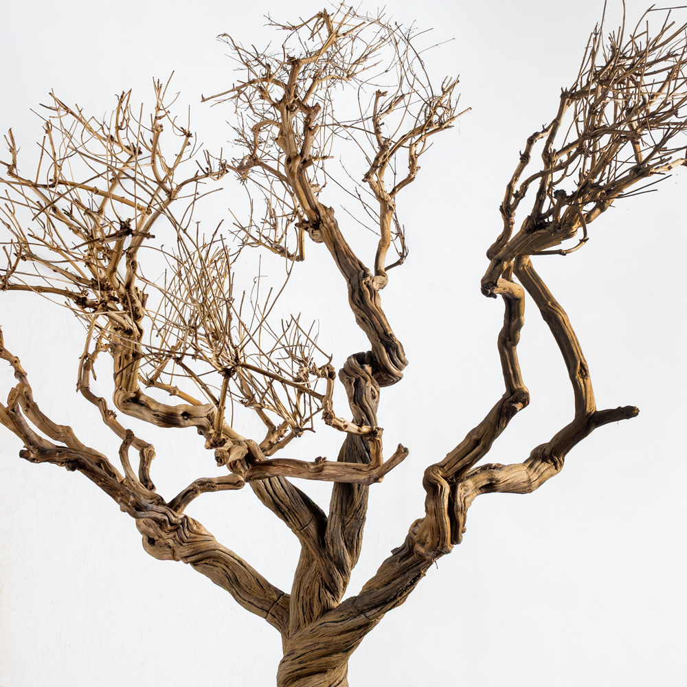 270ГБст/разб/АСС/ДЗх4(F) Дерево интерьерное разборное h270см, на витом стволе_3