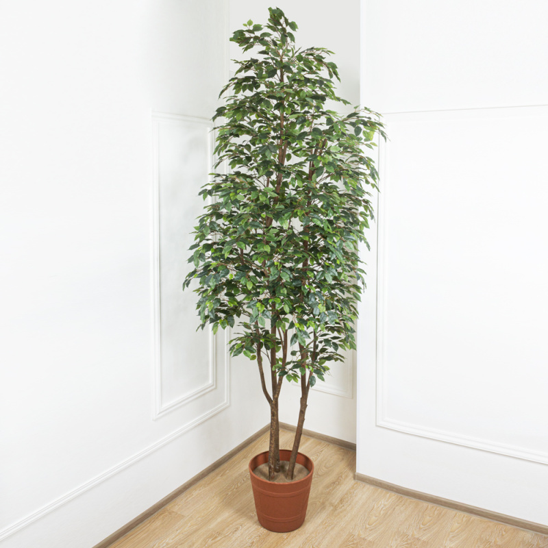 300/РН/34-1/1(з.) Фикус искусственный h300см(3 ствола)_3