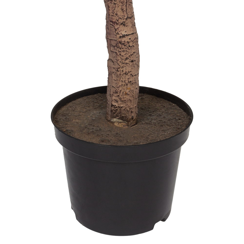 140/К/452(Х)(Fix) Фикус Лирата h140см_1