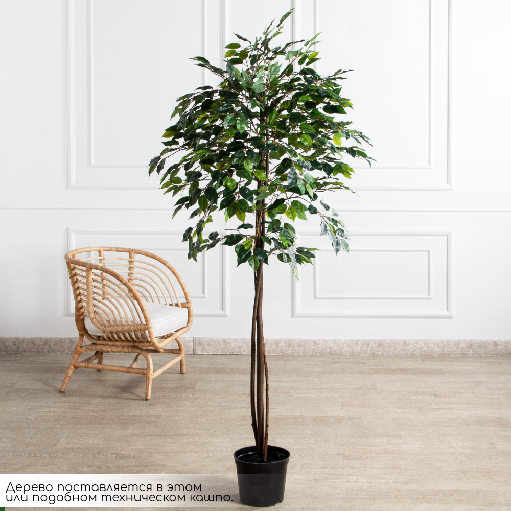 180/РН/ЭК/34(Пр)(F) Фикус искусственный h180см,(латекс)_2