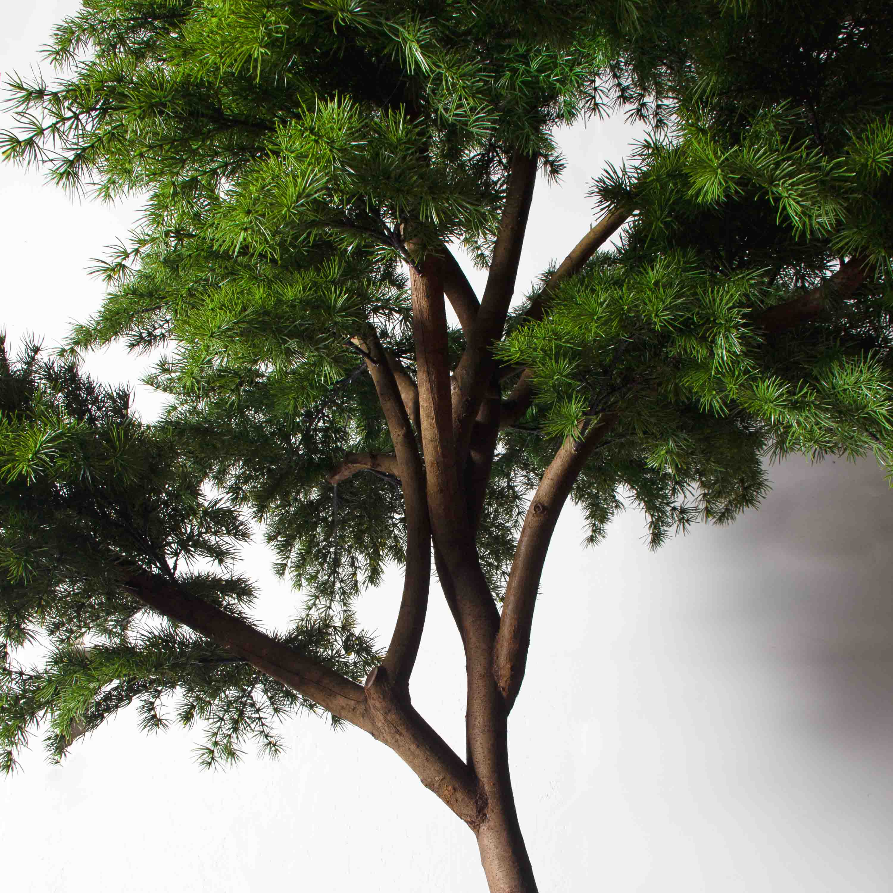 340/РН/310(з)(УУ)(Пр)(F) Лиственница искусственная h310см, d200-210см_6