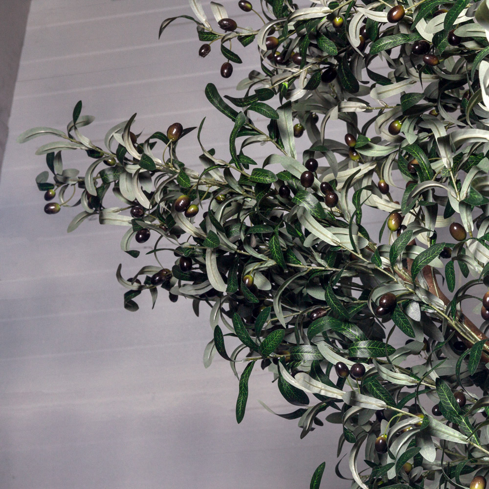 420/РН/465(з)(F) Оливковое дерево искусственное h420см_3