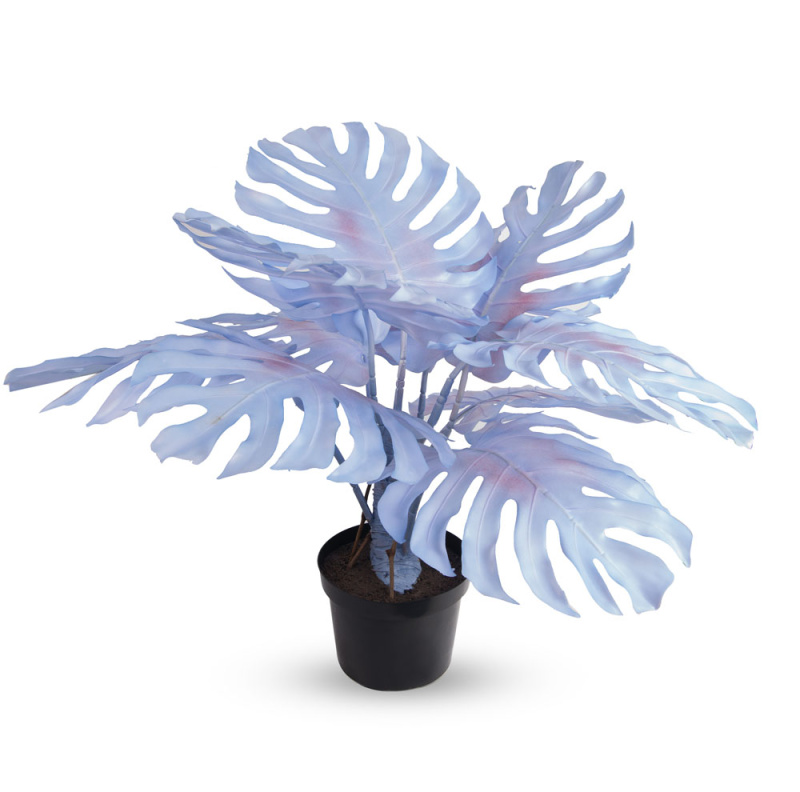 80/К/ССТ/371-1(з.) Монстера мятная на стволе h80см (латекс)_1