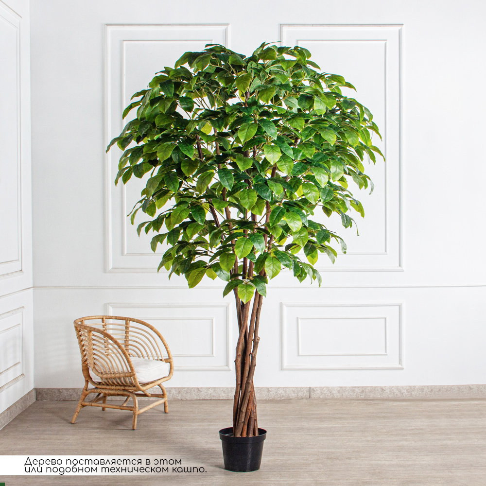250/РН/537(з)(F) Липа искусственная h250см в кашпо (латекс)_2