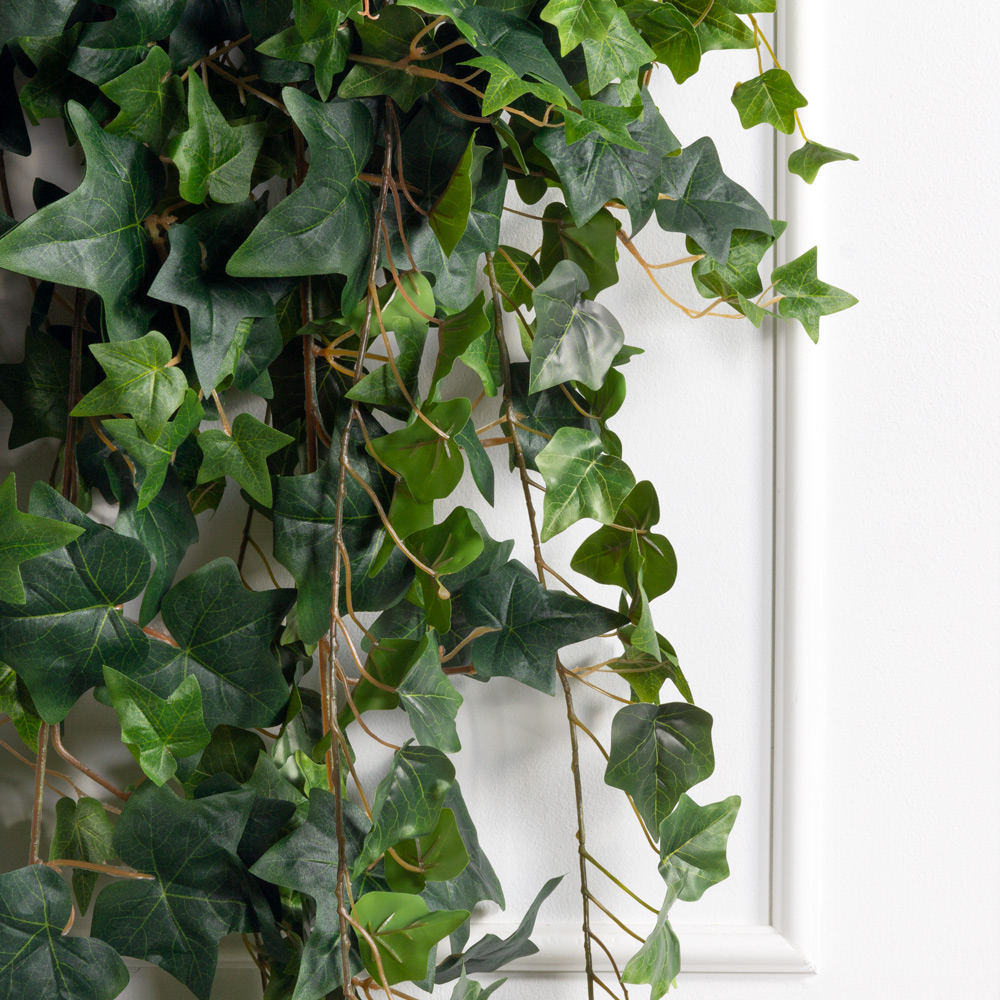 Л79/21-2(з)(F) Лиана искусственная с хедерой  L55см, свес 175см_1