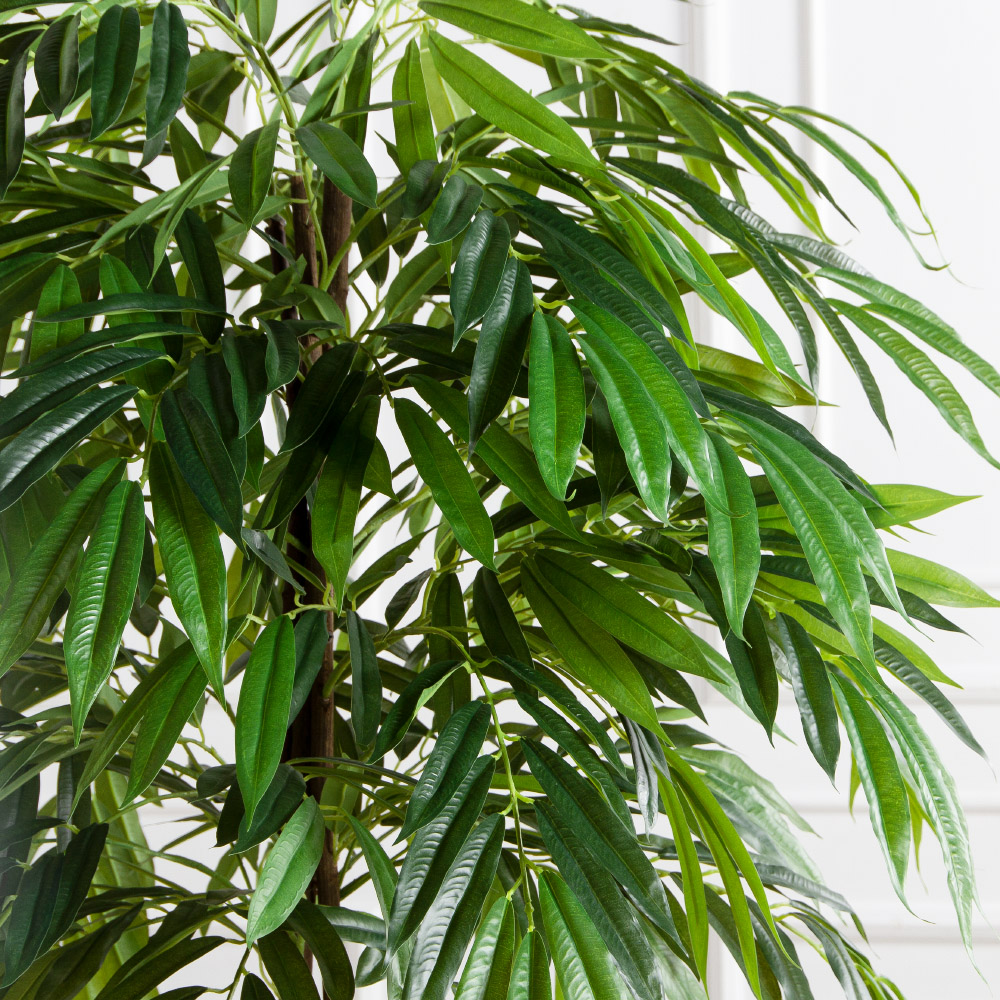 180/РН/ЭК/219(Пр)(F) Лонгифолия искусственная h180см,(латекс)_4