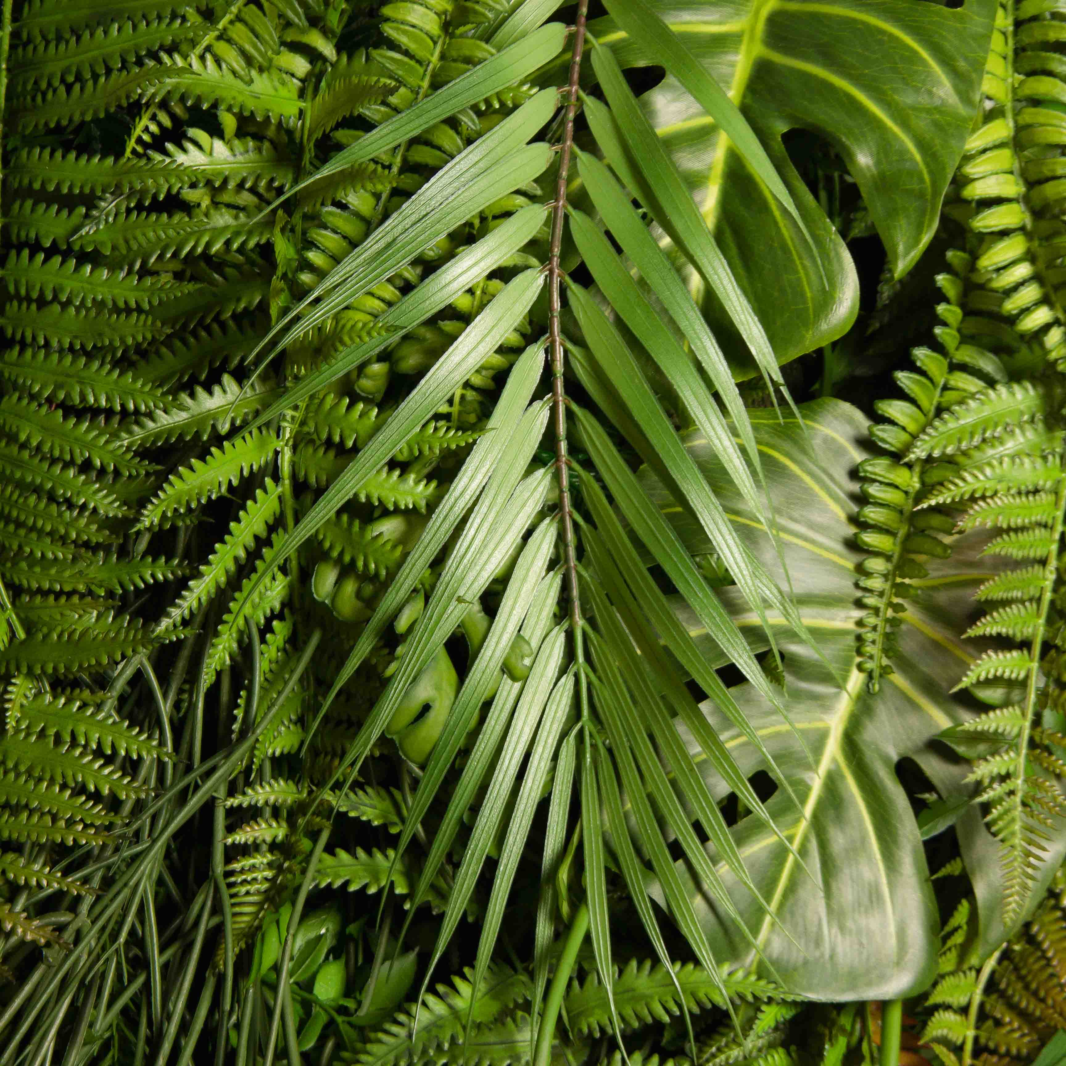 ФТС178(Пр)(F) Фитостена,  за 1кв.м_4