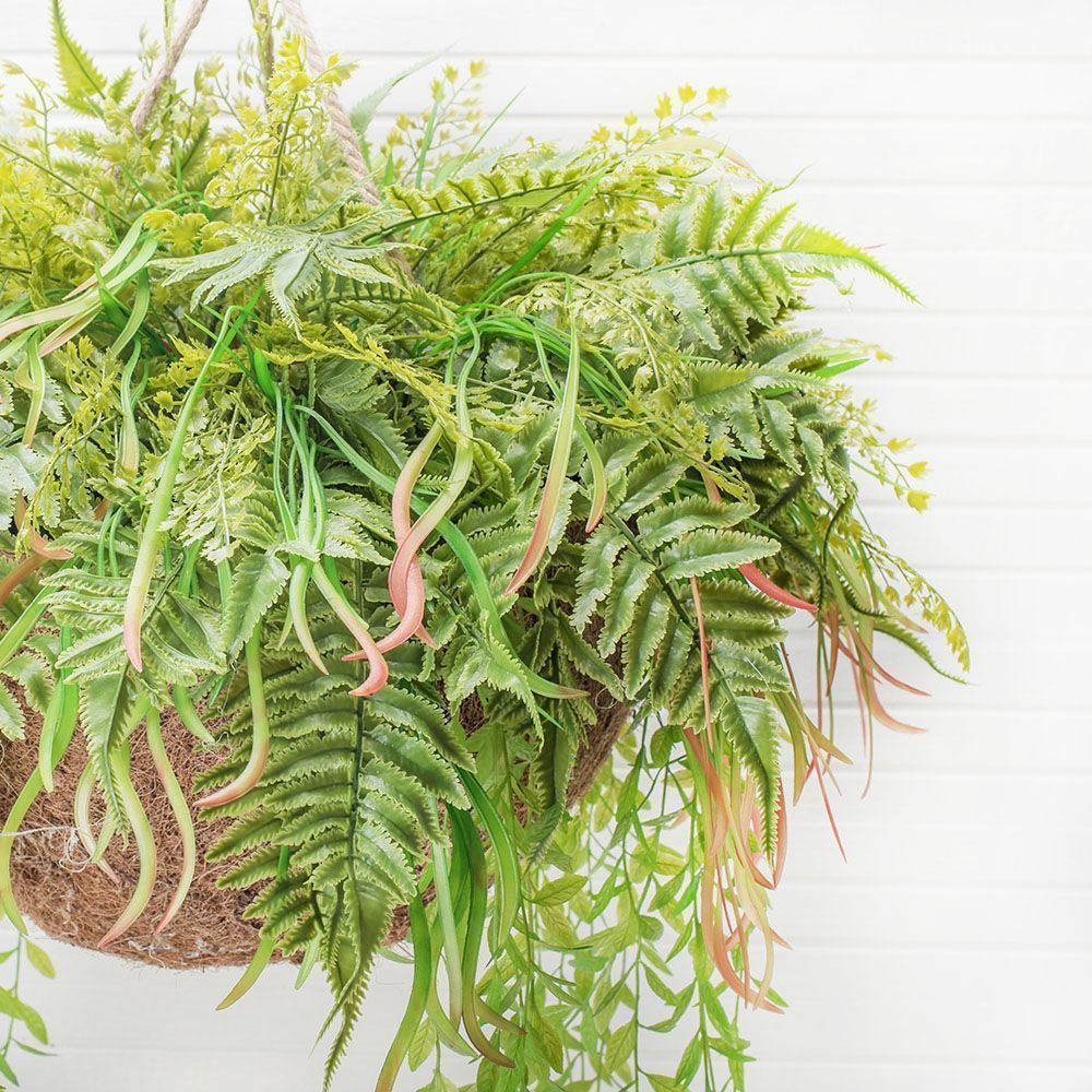 ККВ02 Папоротники в коковите (d-50; h-50см)_2