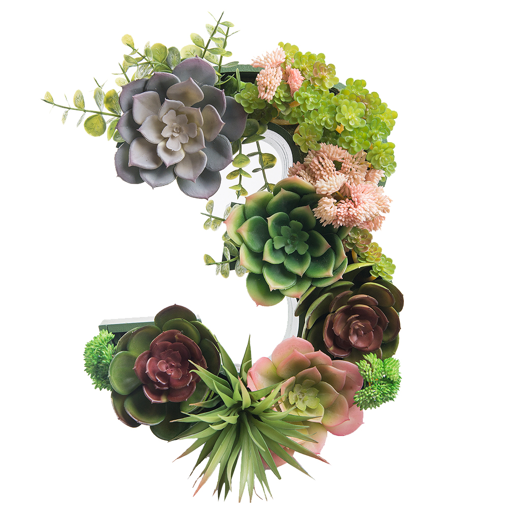 Логотип 1,2,3,4,5 с суккулентами (143*h27см)_6