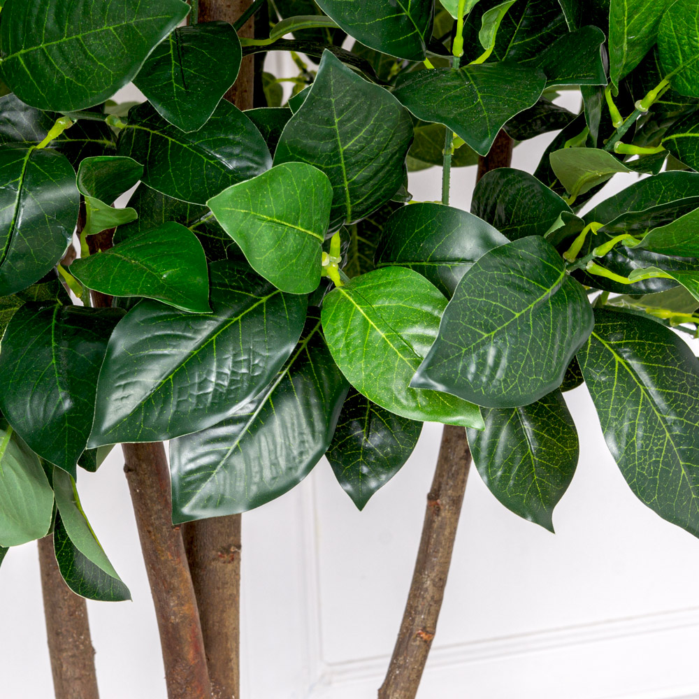 130/РН/190 Лавр искусственный камфорный h130см_5