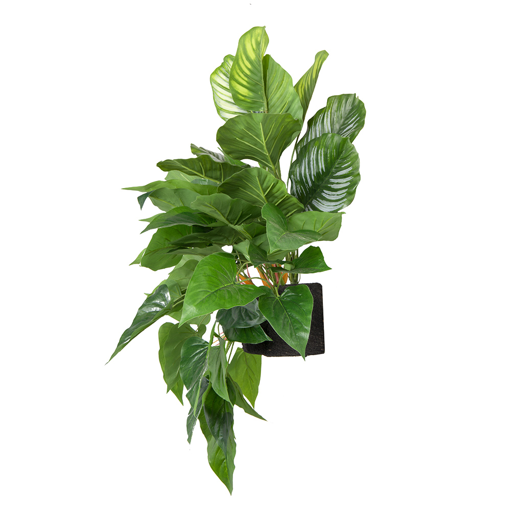 БК 25 Композиция с филодендроном на блоке 15*h10_2