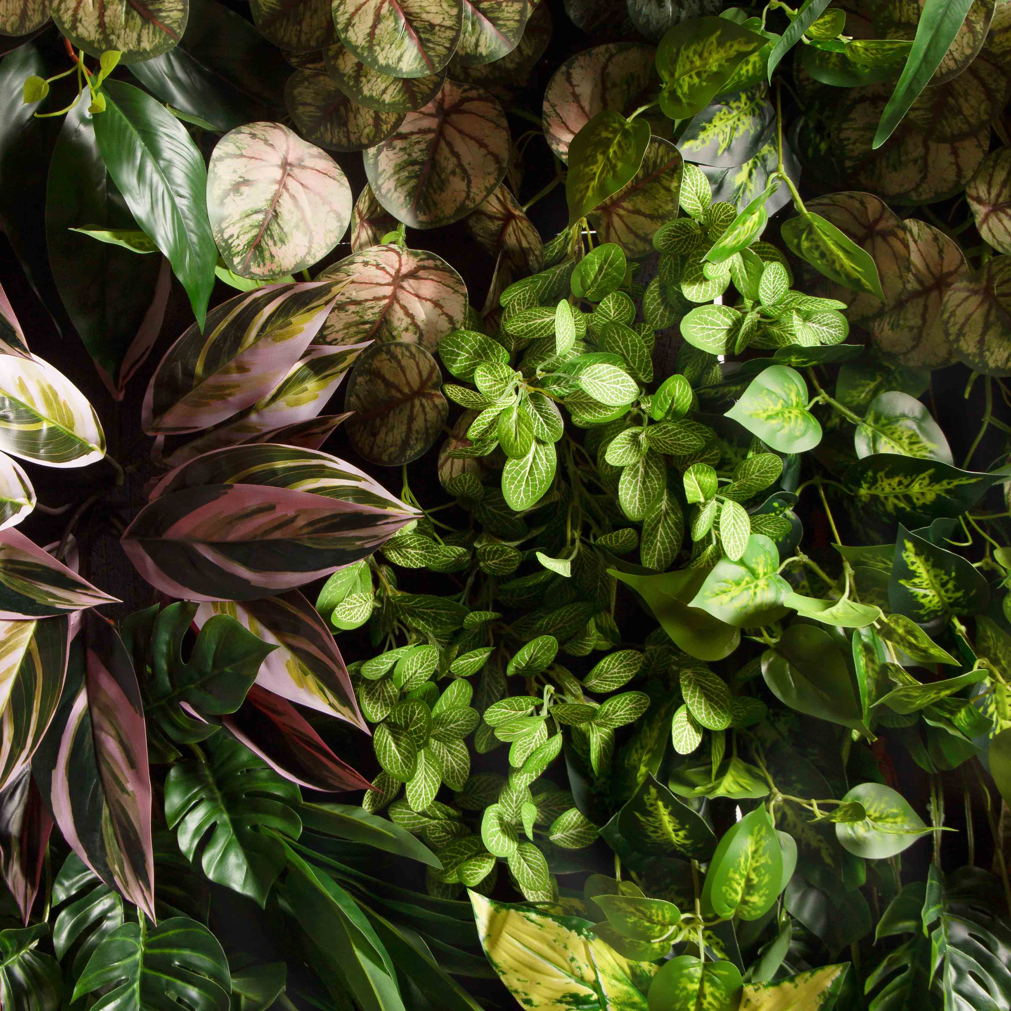 ФТС180(Пр)(F) Фитостена,  за 1кв.м_5