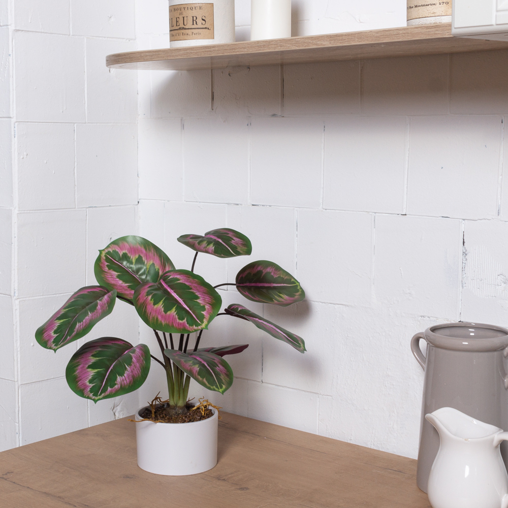 ЦС2144(F) Калатея искусственная зелёно-фиолетовая_3