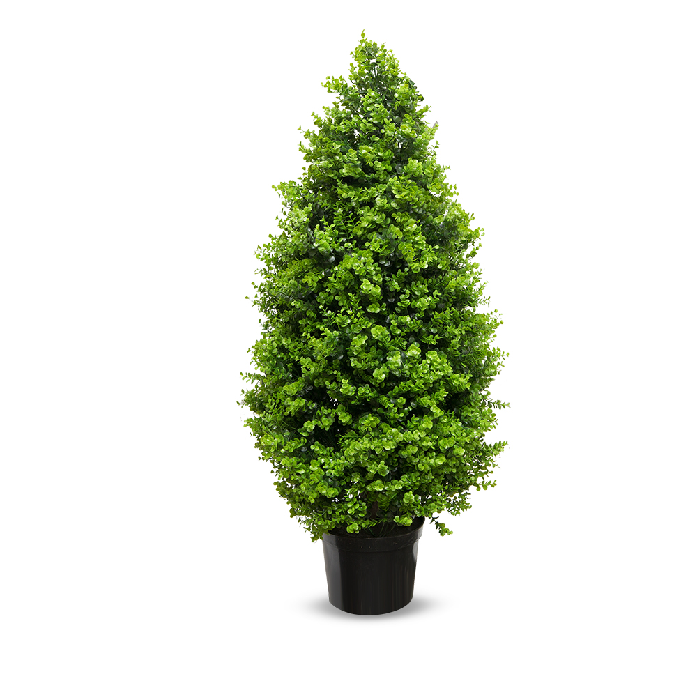 СК110/228(з.) Самшит-конус эвкалипт 