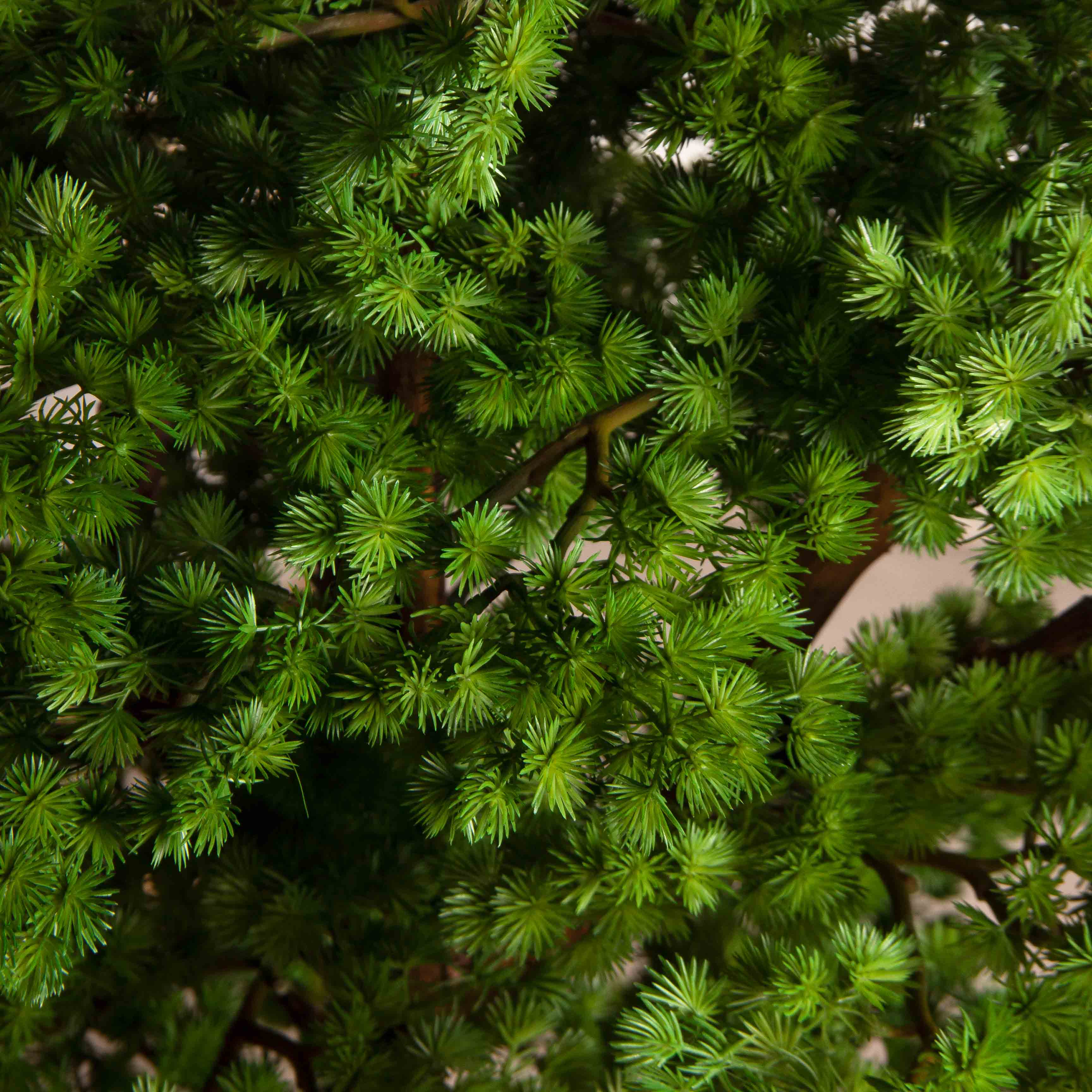 БС110/ДА/427(з)(F) Бонсай искусственный Сосна h110см_4