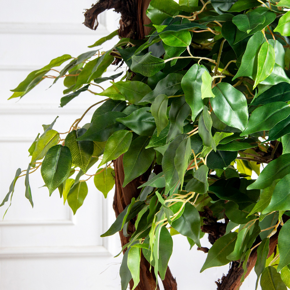 200/2К/ОС/34(з)(F) Фикус искусственный h200см (латекс)_5