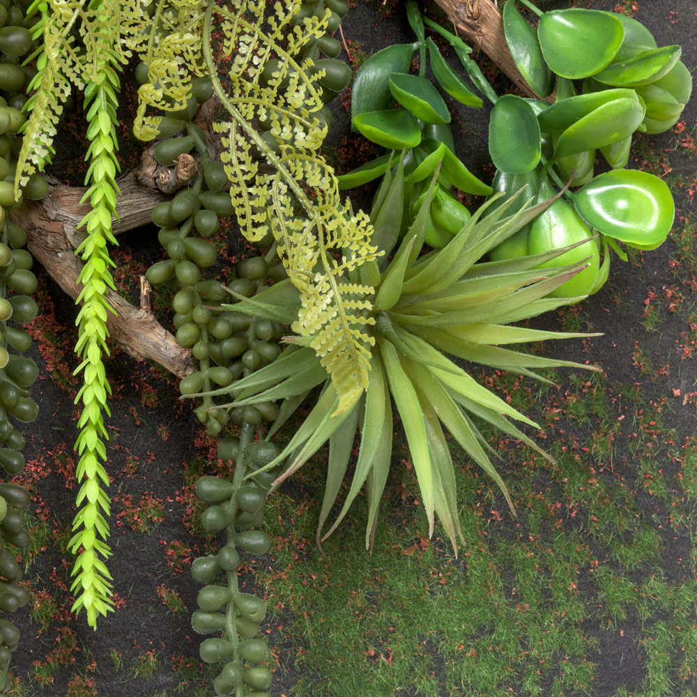 ФК01(з.) Фитокартина с папоротником (44х-h105см)_8