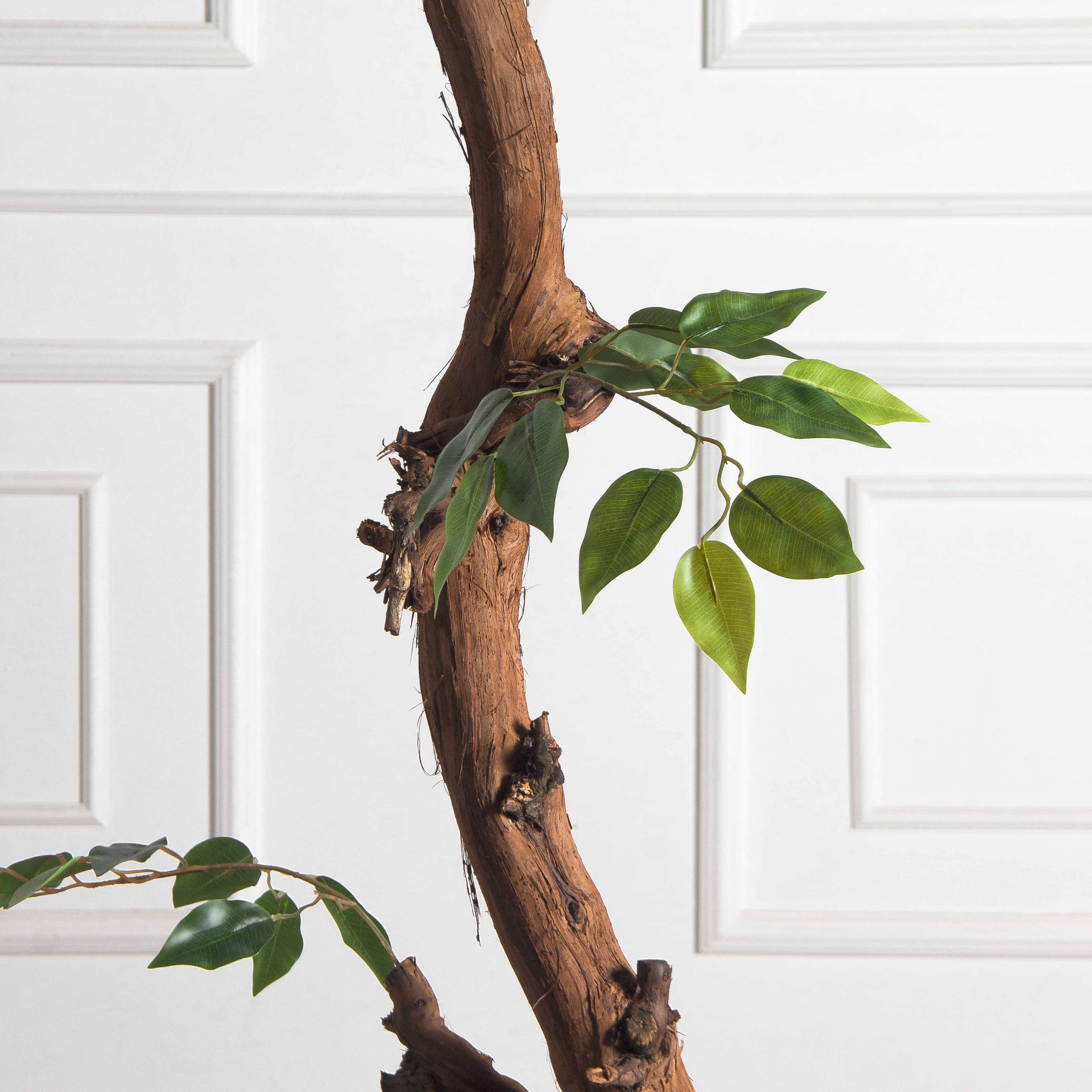 180/ОС/34(F) Фикус искусственный h180см (латекс)_5