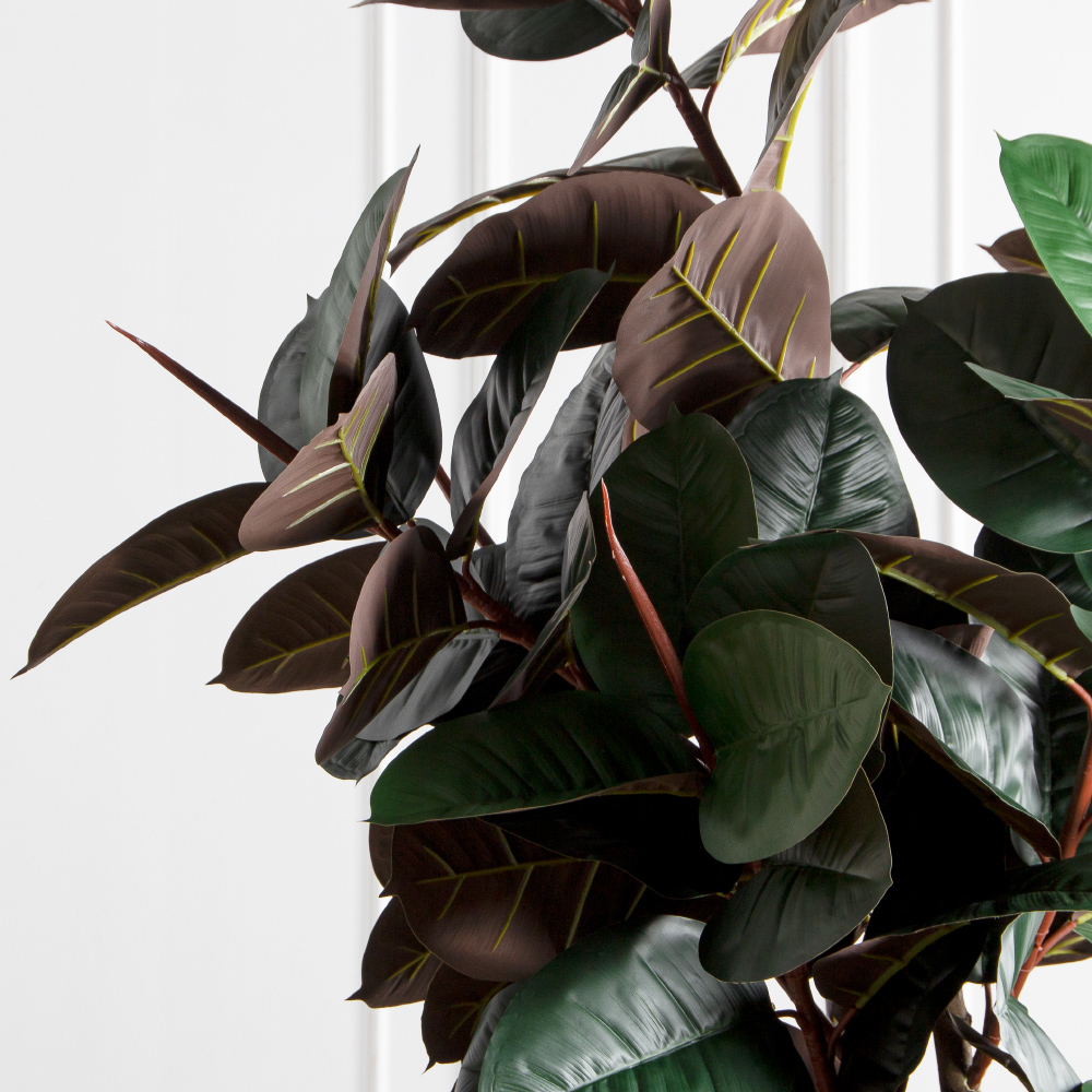 250/УК/РН/186(Пр)(F) Фикус Эластика Робуста искусственный h250см,латекс_6