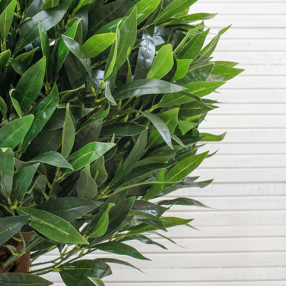 БЛ 180/ОС/2К/27М(з) Лавр (латекс) 180см_5