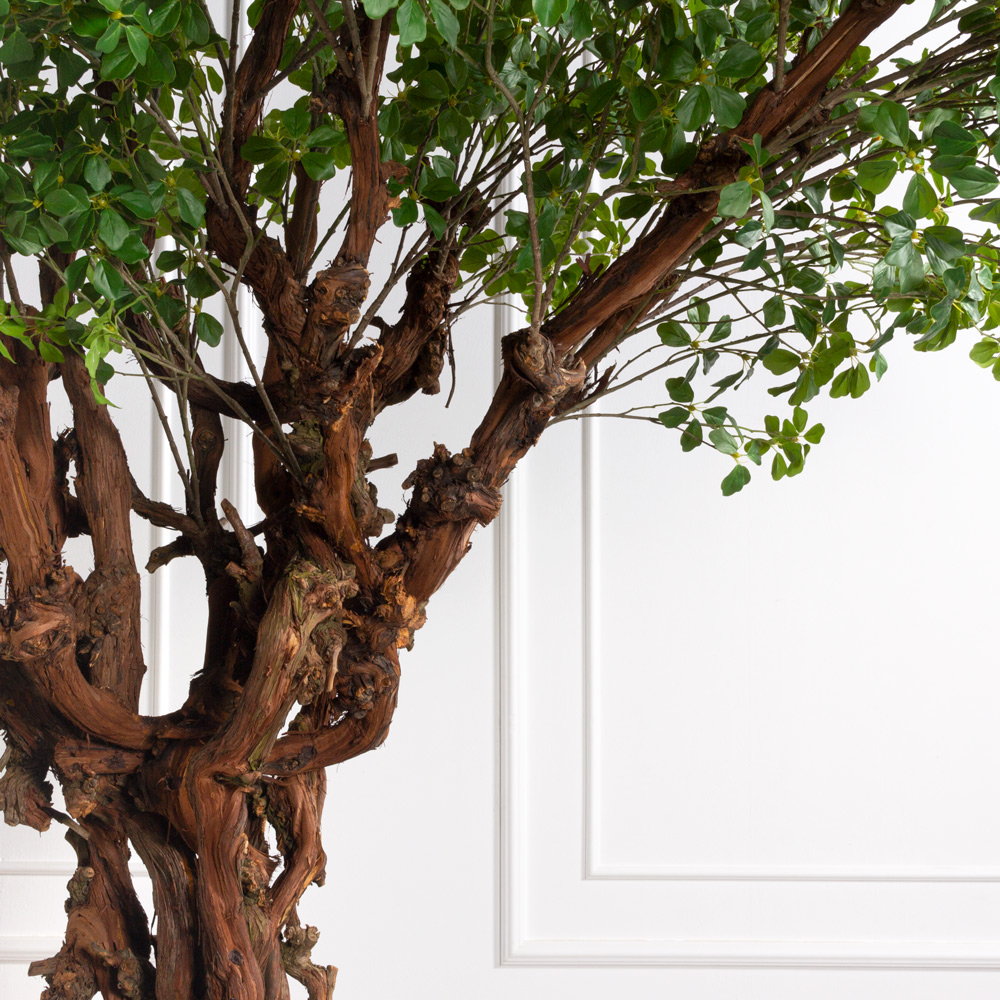 263/ОС/84(з)(F) Шеффлера искусственная Компакта h220см, d240см _2