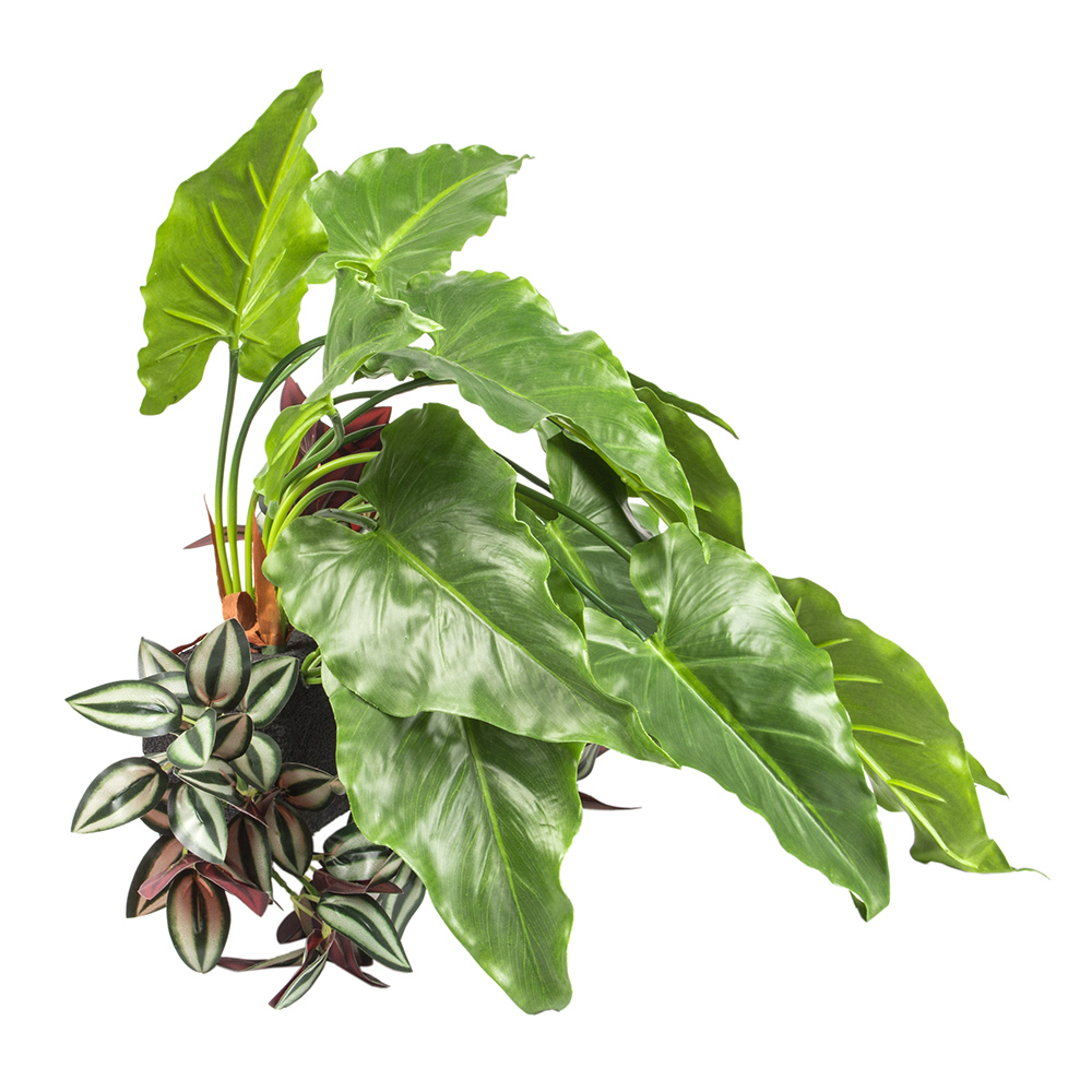 БК 31 Композиция с традесканцией на блоке 15*h10_2