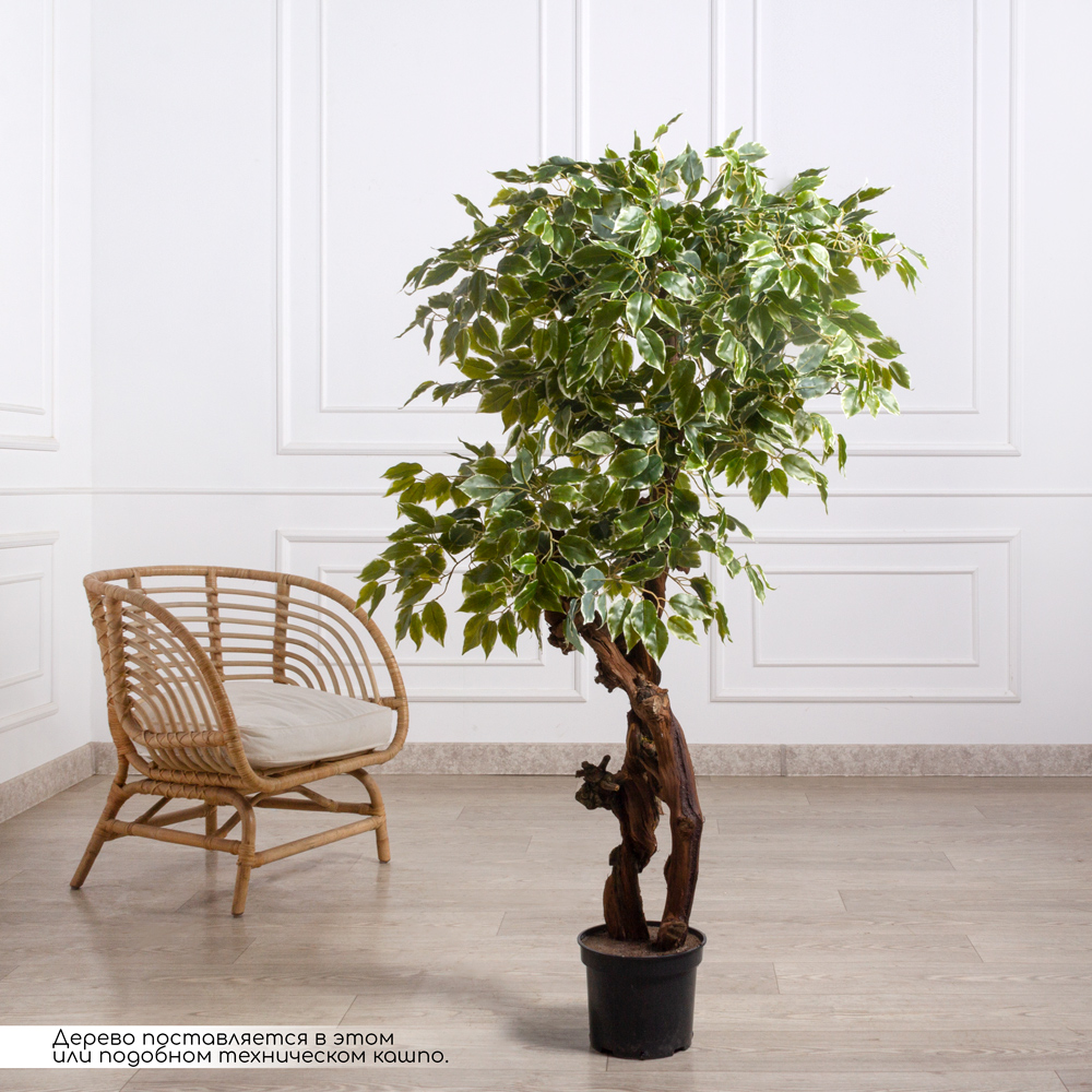 140/2К/ОС/17(Пр)(F) Фикус Бенджамина Старлайт искусственный h140см (латекс)_1