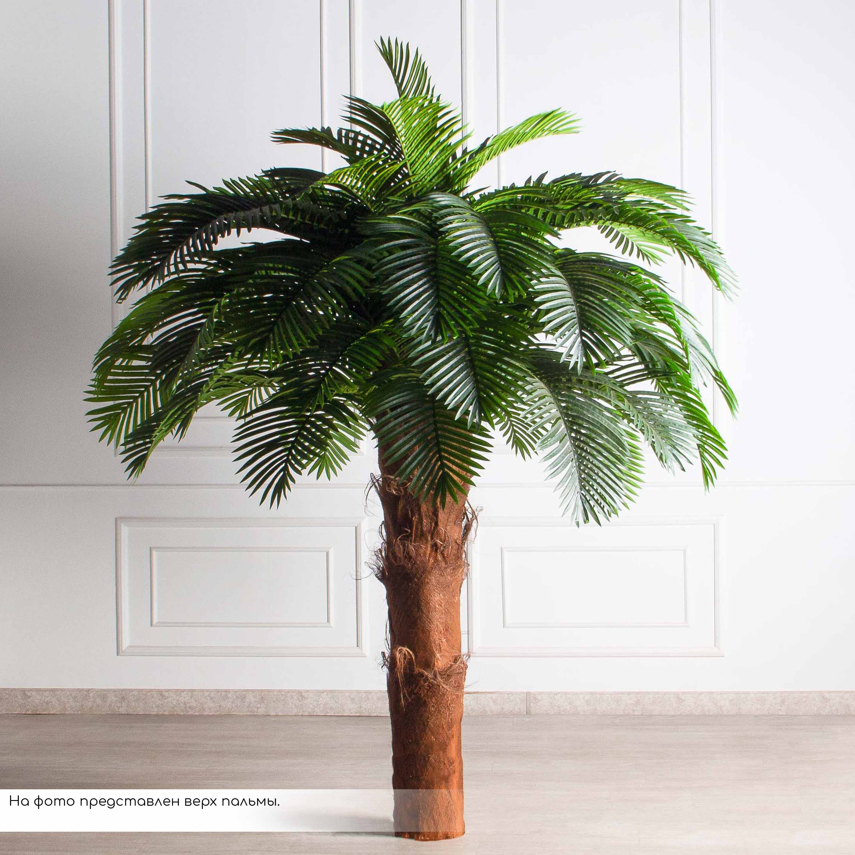 ПС350Разб/ТР/49Люкс(Пр)(F) Пальма Арека искусственная h350см (латекс) на мет.основании_7
