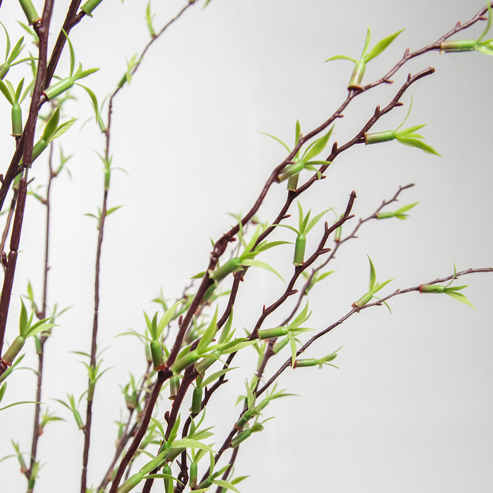 ККДД180/195(з.) Кокедама d40см Дерево с молодыми побегами h180см_3