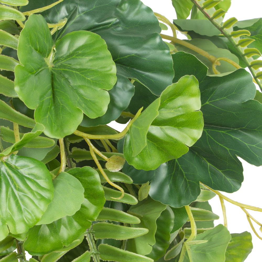 БК 04 Композиция с папоротником Экзальтата на блоке 15*h10_23