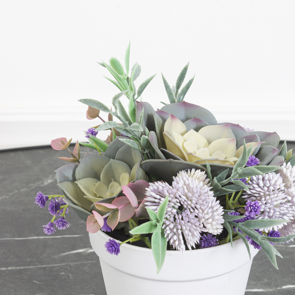 СКК09-2(МД) Суккулент (х2) (голубой)_6