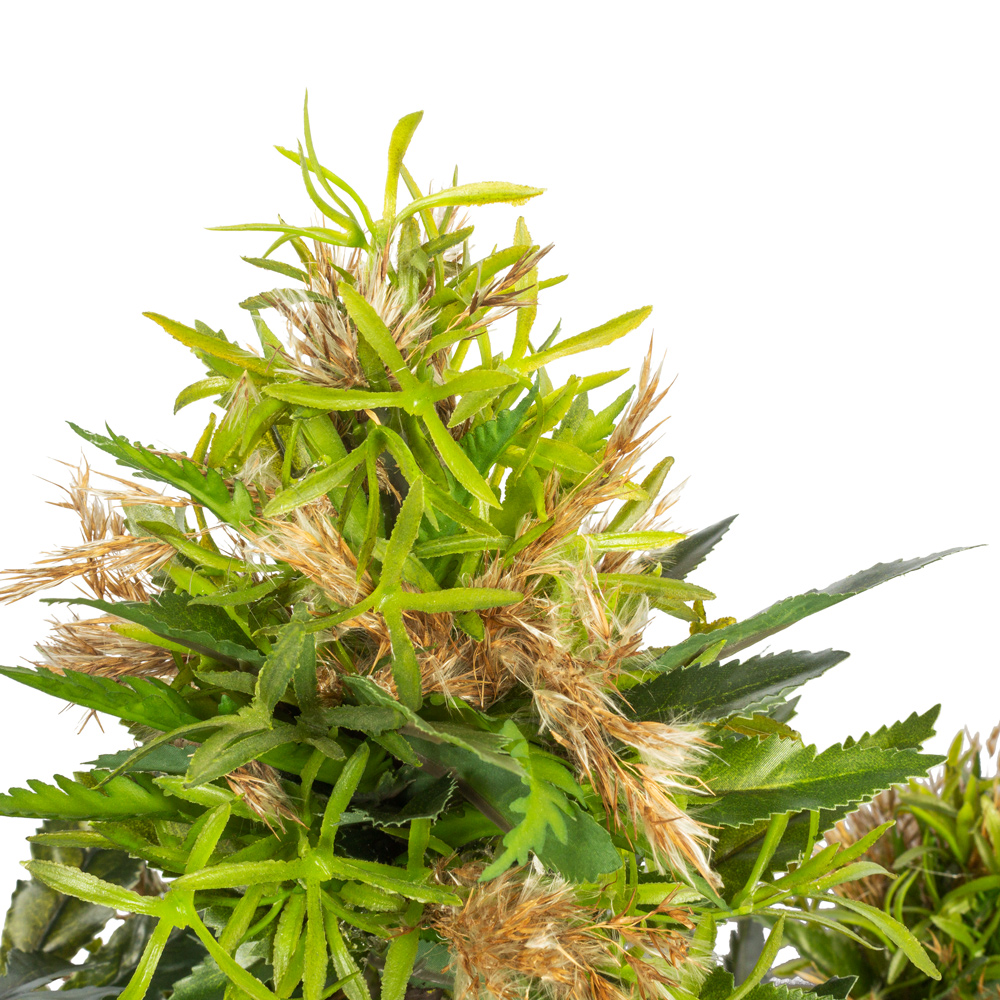К410(з.) Куст Декорат.  искусственный h60 в кокосовом боксе 110х15х10_2