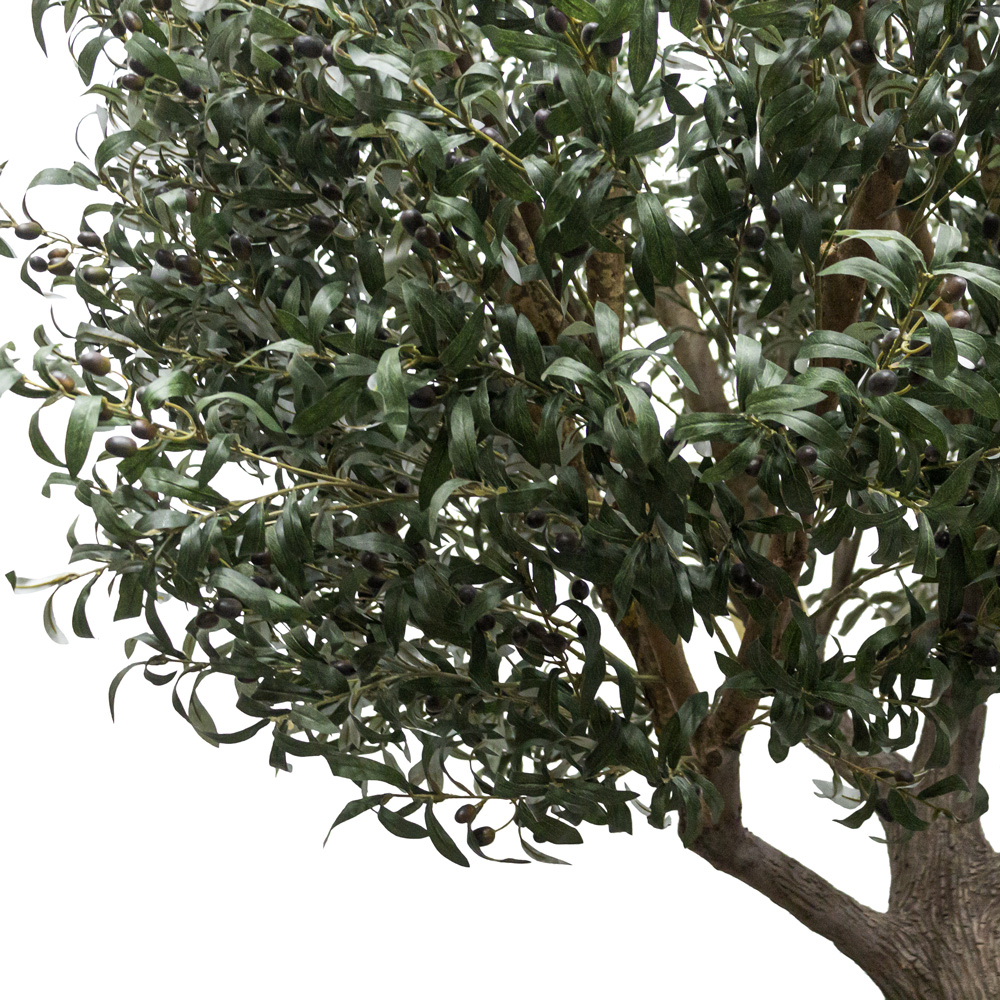 300разб/465(Fix) Оливковое дерево Премиум разборное h300см(h160см от пола до начала кроны)_9