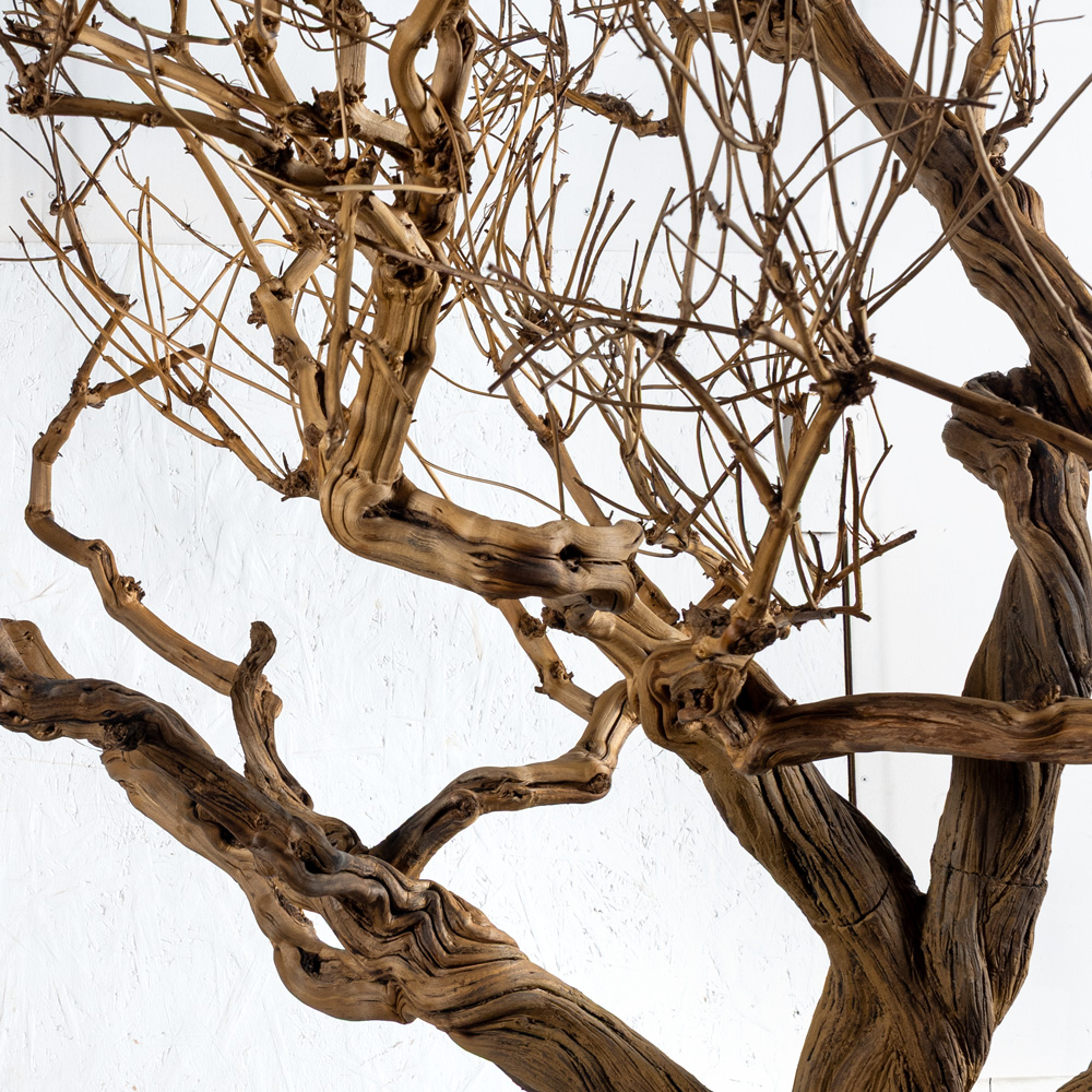 270ГБст/разб/АСС/ДЗх4(F) Дерево интерьерное разборное h270см, на витом стволе_4